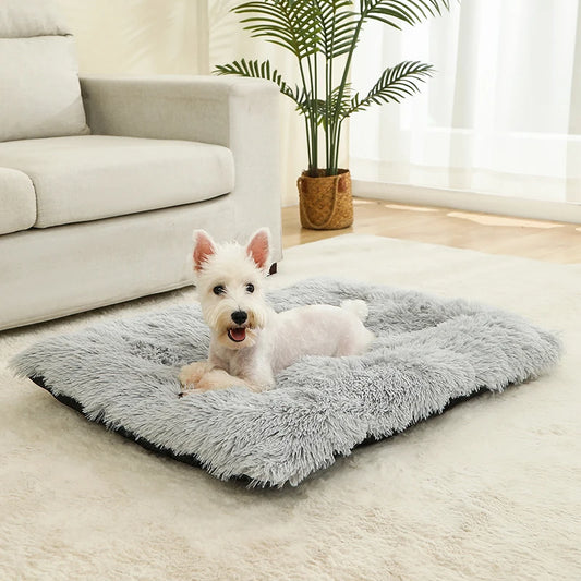 PawPlush Comfort Lounger