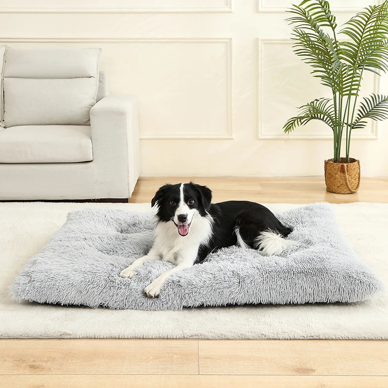PawPlush Comfort Lounger