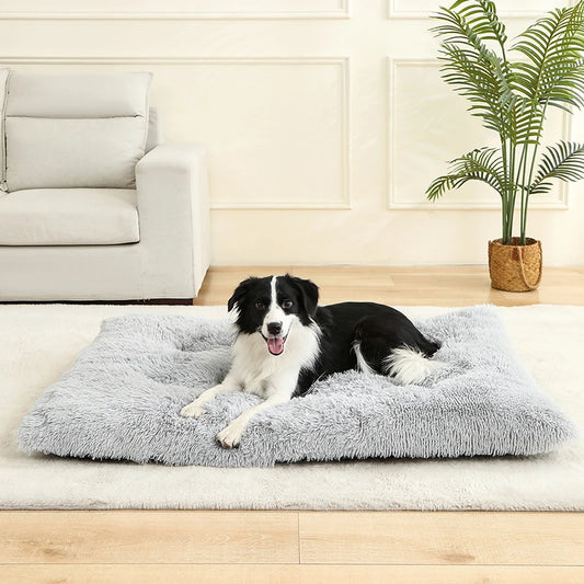 PawPlush Comfort Lounger