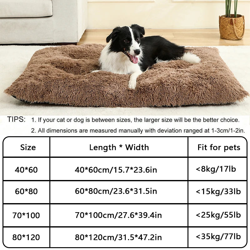 PawPlush Comfort Lounger