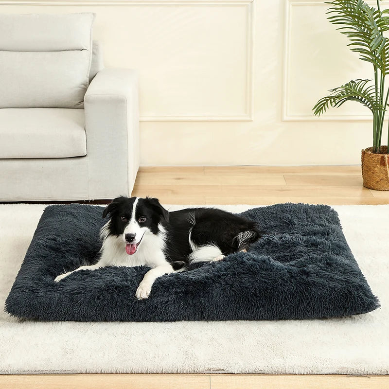 PawPlush Comfort Lounger