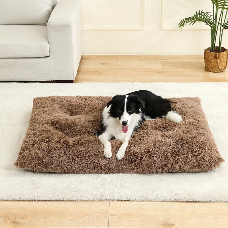 PawPlush Comfort Lounger