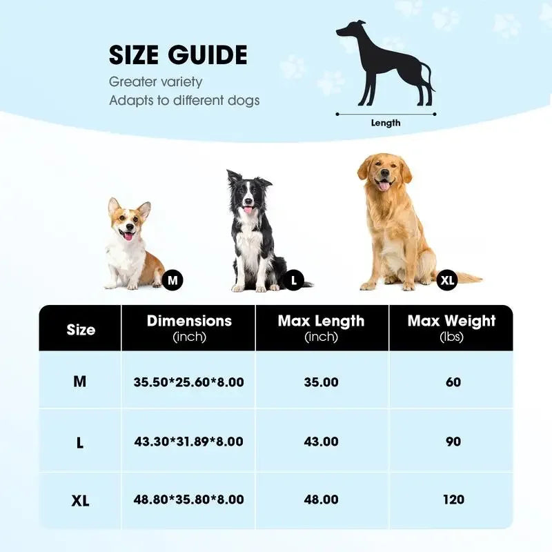 BreezyPaws Elevated Pet Lounger
