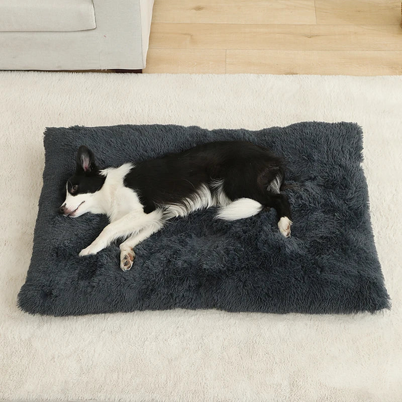 PawPlush Comfort Lounger