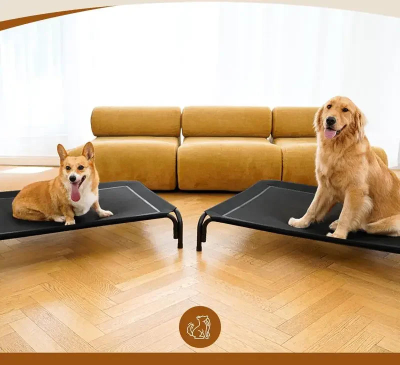 BreezyPaws Elevated Pet Lounger